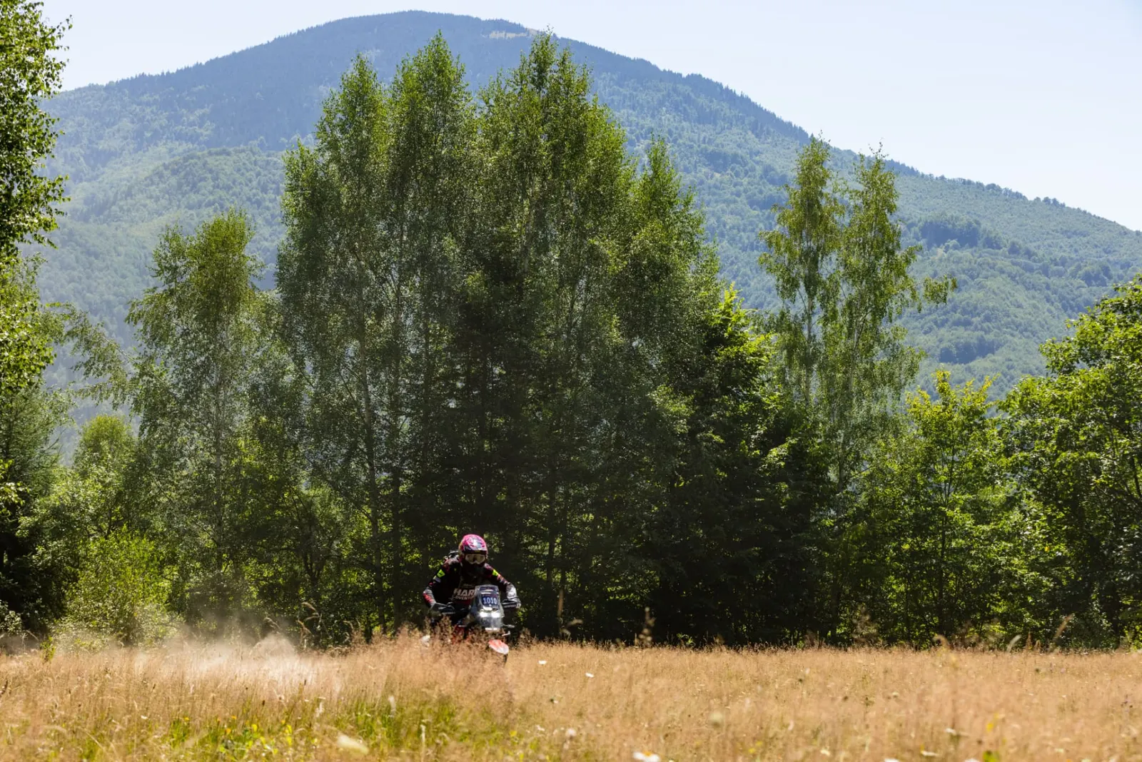 Rider crossing a meadow below a forested mountain